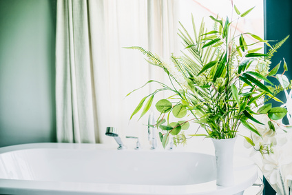 Zieleń w łazience - najlepsza roślinność do łazienki